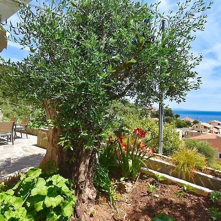 Apartment The Sea-view - 500m From The Beach Katavolos